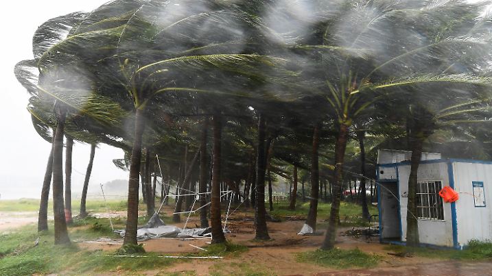 HANDOUT - 06.09.2024, China, Haikou: Auf diesem von der Nachrichtenagentur Xinhua via AP veröffentlichten Foto sind vom Taifun «Yagi» betroffene Kokosnussbäume entlang einer Straße zu sehen. Foto: Yang Guanyu/Xinhua/AP/dpa - ACHTUNG: Nur zur redaktionellen Verwendung im Zusammenhang mit einer Berichterstattung und nur mit vollständiger Nennung des vorstehenden Credits +++ dpa-Bildfunk +++