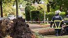 Feuerwehrleute stehen am 05.10.2017 in Hamburg - Niendorf an umgestürzten Bäumen. Sturmtief «Xavier» zieht über Norddeutschland. (zu dpa «Sturm «Xavier»: Bahn stellt Verkehr in Norddeutschland komplett ein» vom 05.10.2017) Foto: Daniel Bockwoldt/dpa +++(c) dpa - Bildfunk+++