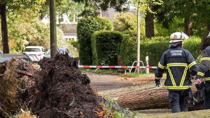 Feuerwehrleute stehen am 05.10.2017 in Hamburg - Niendorf an umgestürzten Bäumen. Sturmtief «Xavier» zieht über Norddeutschland. (zu dpa «Sturm «Xavier»: Bahn stellt Verkehr in Norddeutschland komplett ein» vom 05.10.2017) Foto: Daniel Bockwoldt/dpa +++(c) dpa - Bildfunk+++