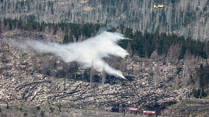 ARCHIV - 01.05.2024, Sachsen-Anhalt, Schierke: Ein Löschflugzeug fliegt über eine Brandfläche. Auf dem Königsberg unterhalb des Brocken im Harz hat es am Mai-Feiertag gebrannt. (zu dpa: «Brand am Königsberg im Harz») Foto: Matthias Bein/dpa +++ dpa-Bildfunk +++
