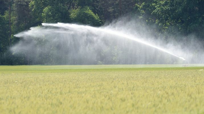 Getreidefelder werden am 12.06.2015 bei Offen (Niedersachsen) künstlich beregnet.  Die Landwirte müssen die Felder bewässern, vor allem den leichten Sandböden fehlt das kostbare Nass. Laut Wetterdienst soll es sich um eine der trockensten Perioden seit den 1960er-Jahren handeln. Foto: Holger Hollemann/dpa (zu lni "Der Regen kommt, doch die Trockenheit bleibt" vom 12.06.2015) +++(c) dpa - Bildfunk+++