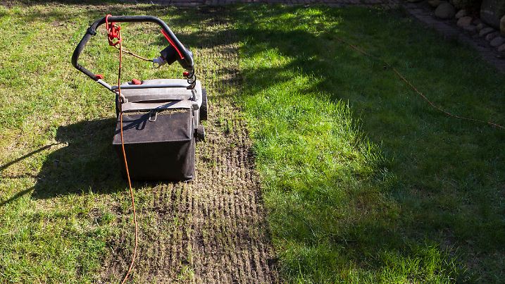 Verticutter cultivated lawn,