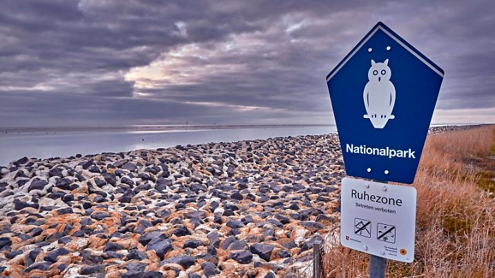  Deutsche Nordseeküste. Beginng der Ruhezone im Nationalpark Wattenmeer an der Wurster Nordseeküste. 20191103MIC0010 *** German North Sea coast Beginning of the quiet zone in the Wadden Sea National Park on the Wurster North Sea coast 20191103MIC0010