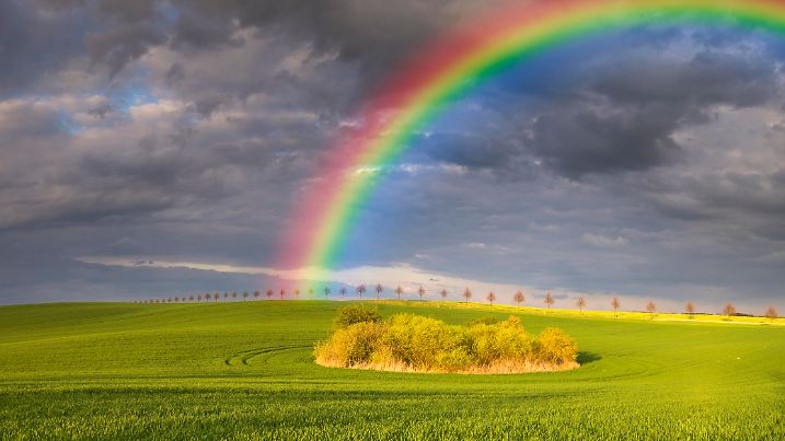 Spring colorful rainbow over the field