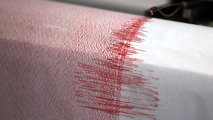 ARCHIV - 13.02.2011, Nordrhein-Westfalen, Bergisch-Gladbach: Der Seismograph der Erdbebenwarte verzeichnet Ausschläge. (zu dpa: «Erdbeben reißt viele Bürger in Baden-Württemberg aus dem Schlaf») Foto: Oliver Berg/dpa +++ dpa-Bildfunk +++