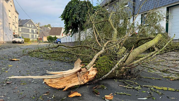 In der Nacht hat es kurzzeitig in Siegen-Oberschelden Unwetterartig geregnet. Gewitter und starker Wind waren auch kurz mit dabei. Ein großer Ast einer Trauerweide ist auf die Straße Am Gewende gestuerzt gestürzt. Die Straße ist jedoch passierbar. Sommer im Siegerland am 21.07.2024 in Siegen/Deutschland. *** During the night it rained briefly in Siegen Oberschelden Thunderstorms and strong winds were also briefly present A large branch of a weeping willow fell onto the road Am Gewende However, the road is passable Summer in Siegerland on 21 07 2024 in Siegen Germany