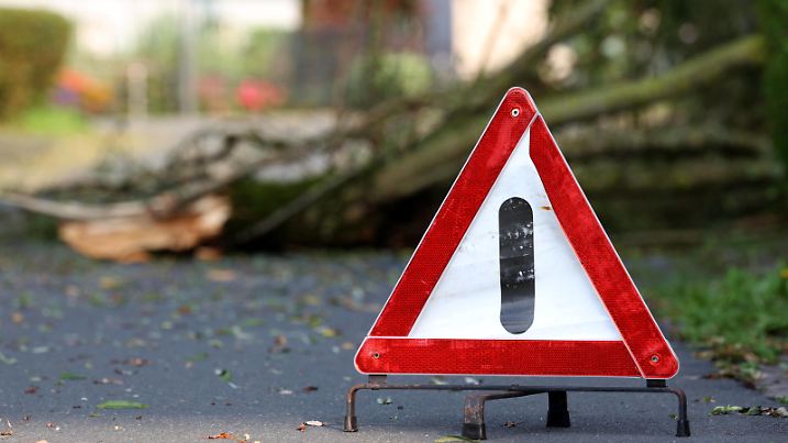 In der Nacht hat es kurzzeitig in Siegen-Oberschelden Unwetterartig geregnet. Gewitter und starker Wind waren auch kurz mit dabei. Ein großer Ast einer Trauerweide ist auf die Straße Am Gewende gestuerzt gestürzt. Die Straße ist jedoch passierbar. Sommer im Siegerland am 21.07.2024 in Siegen/Deutschland. *** During the night it rained briefly in Siegen Oberschelden Thunderstorms and strong winds were also briefly present A large branch of a weeping willow fell onto the road Am Gewende However, the road is passable Summer in Siegerland on 21 07 2024 in Siegen Germany