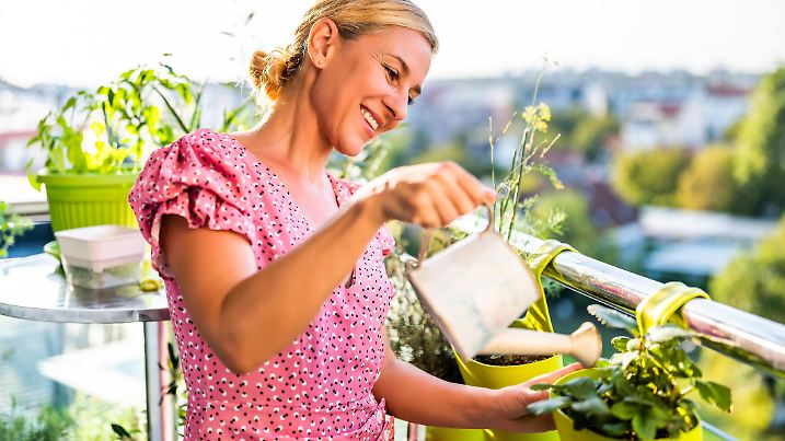 Happy woman gardening on balcony at home. She is taking care of her  Strawberry plant.