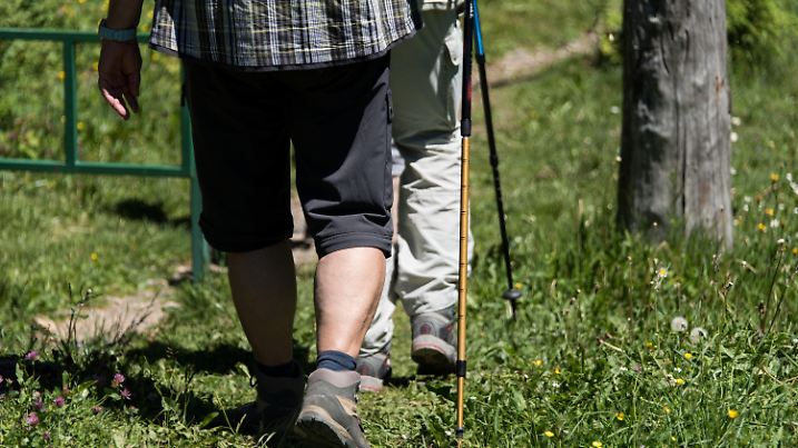 ARCHIV - 11.06.2017, Baden-Württemberg, Schönau: Wanderer gehen am Belchen im Schwarzwald auf einem Wanderweg. Der Weg hat sich bei einer Wahl zur schönsten Tagestour für Wanderer in diesem Jahr durchgesetzt und gewonnen.     (zu dpa «Leser stimmen ab: Baden-Badens Panoramaweg ist schönster Wanderweg») Foto: picture alliance / Patrick Seeger/dpa +++ dpa-Bildfunk +++