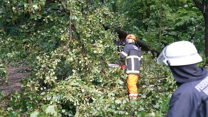 Überschwemmte Keller und überflutete Strassen: Ein Unwetter zieht über den Hamburger Südosten

/ 070824
