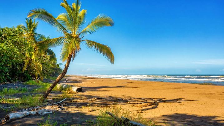 wild beach of Tortuguero by the Caribbean Sea in Costa Rica, Central America.