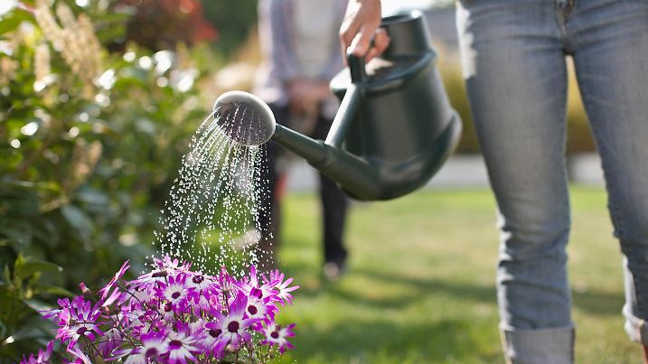Frau gießt Blumen