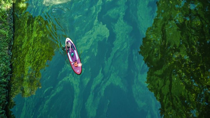 ARCHIV - 06.09.2023, Berlin: Ein Mann auf einem SUP durchquert den Teppich aus Blaualgen in dem von der Havel gespeisten Stößensee. (zu dpa: «Darmstädter Badesee von Blaualgen betroffen») Foto: Soeren Stache/dpa +++ dpa-Bildfunk +++