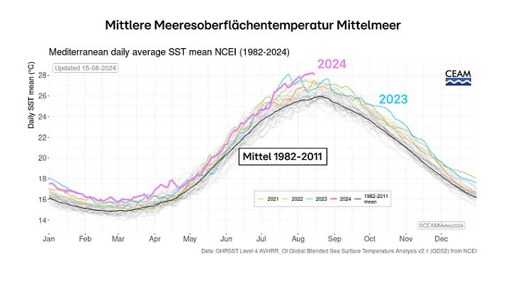 So warm wie 2024 war das Mittelmeer seit Messbeginn nicht.
