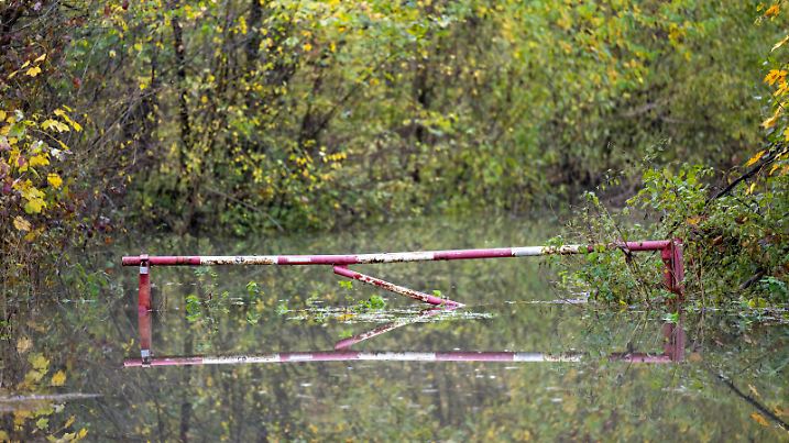 Thema: Hochwasser , Symbole, Wetter, Deutschland, Rheinland-Pfalz, Speyer, Rheindamm, 17.11.2023, überflutete Rheinauen. Rückhaltebecken in den Altrheinauen in Speyer. *** Flood topic, symbols, weather, Germany, Rhineland-Palatinate, Speyer, Rhine dam, 17 11 2023, flooded Rhine floodplains retention basin in the old Rhine floodplains in Speyer