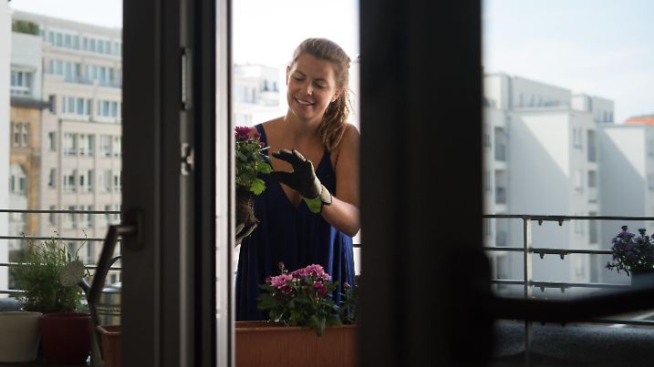 ILLUSTRATION - Eine junge Frau pflanzt am 10.08.2017 auf einem Balkon in einem Mehrfamilienhaus in Berlin Chrysanthemen in einen Blumenkasten (gestellte Szene). Foto: Franziska Gabbert || Modellfreigabe vorhanden