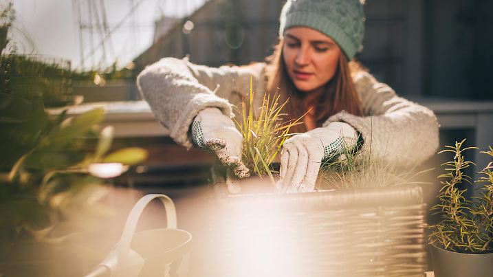 Photo of a young woman taking care of her rooftop garden on the balcony over the city, on a beautiful, sunny, autumn day
