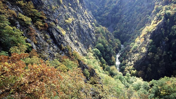Die Bode hat im Laufe der Jahrmillionen ein wild-romantisches Tal geschaffen, das eines der ältesten Naturschutzgebiete Deutschlands ist.