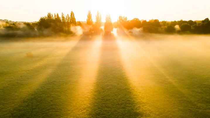 14.09.2023, Niedersachsen, Laatzen: Nebelschwaden werden in der Leinemasch von der aufgehenden Sonne in warmes Licht getaucht. Foto: Julian Stratenschulte/dpa +++ dpa-Bildfunk +++