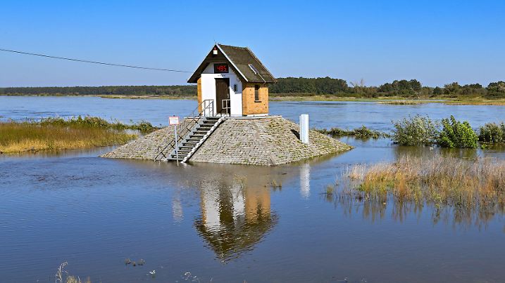20.09.2024, Brandenburg, Ratzdorf: 4,84 Meter beträgt derzeit der Wasserstand des deutsch-polnischen Grenzflusses Oder am Pegel von Ratzdorf unweit vom Zusammenfluss der Neiße in die Oder. Mit den steigenden Pegelständen an der Oder wächst auch die Anspannung im Osten Brandenburgs. Seit Tagen bereiten sich die Orte entlang des deutsch-polnischen Grenzflusses Oder auf eine Verschärfung der Hochwasserlage vor. Bislang galt die niedrigste Alarmstufe entlang mehrerer Flussabschnitte bei Frankfurt (Oder), Eisenhüttenstadt und Ratzdorf. Doch die Sorge vor der Oder-Flut ist groß. Die Lage soll sich bei steigenden Wasserständen Richtung Wochenmitte zuspitzen. Foto: Patrick Pleul/dpa +++ dpa-Bildfunk +++