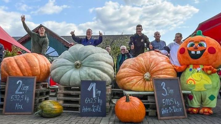 Das Siegergewächs auf dem Weg zur Waage. Der grüne Kürbis von Andreas Wild hatte am Ende ein Gewicht von 642,5 Kilogramm