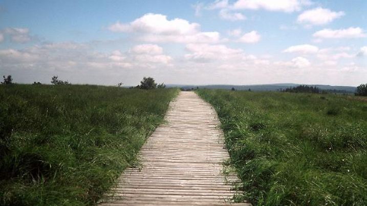 In die endlose Ferne scheint dieser Holzsteg zu führen, der durch eine Moorlandschaft im Hautes Vagnes (Hohes Venn) in den Ardennen in Belgien führt. (Aufnahme von 2000).
