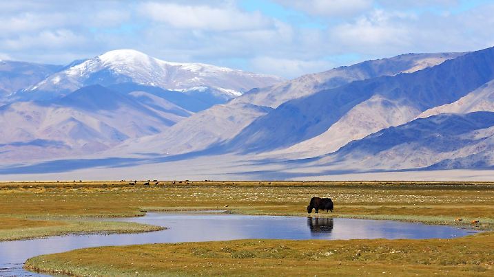 Die Mongolei ist eine der am wenigsten dicht besiedelten Regionen der Welt und begeistert mit scheinbar endlosen Weiten
