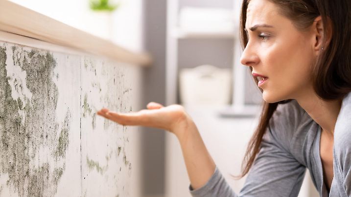 Side View Of A Shocked Young  Woman Looking At Mold On Wall