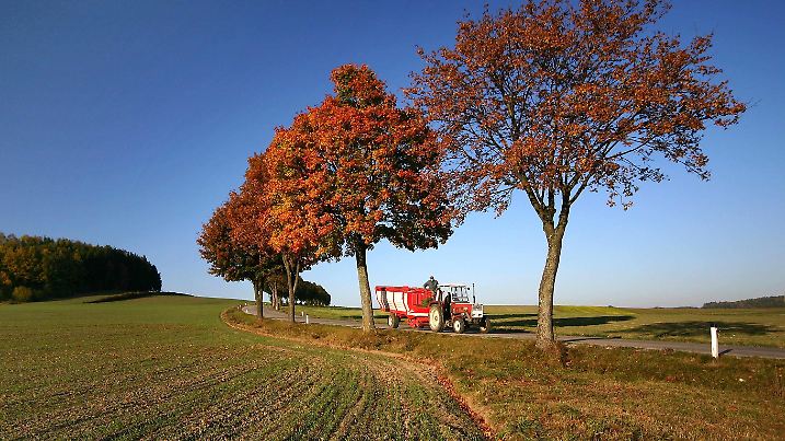 harvest time PUBLICATIONxINxGERxSUIxAUTxONLY Copyright: xmarkus_lx Panthermedia00489696