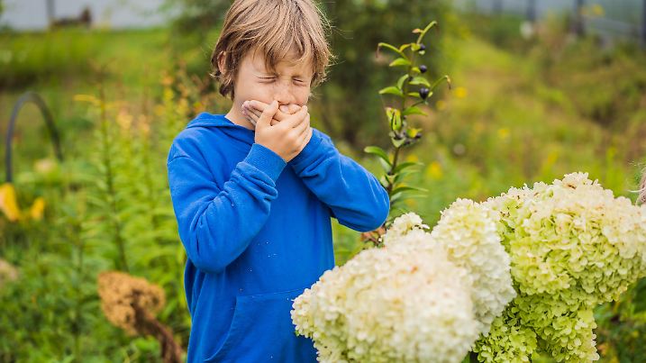 Little boy is blowing his nose on green meadow near flowers. Flower allergy concept.