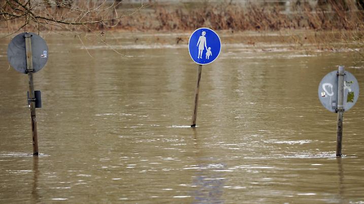 epi 201475972 DPA BF Rhein-Hochwasser.jpg