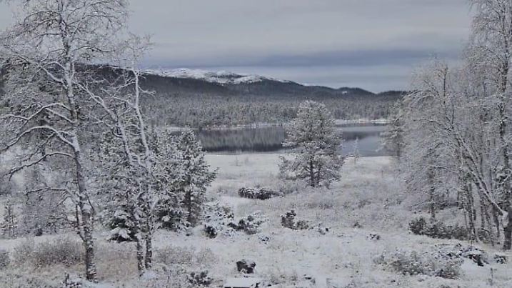 Schnee in Norwegen (Quelle: Kaja Schwencke)