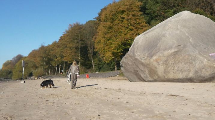 Naturdenkmal mit 217 Tonnen Gewicht in Hamburg