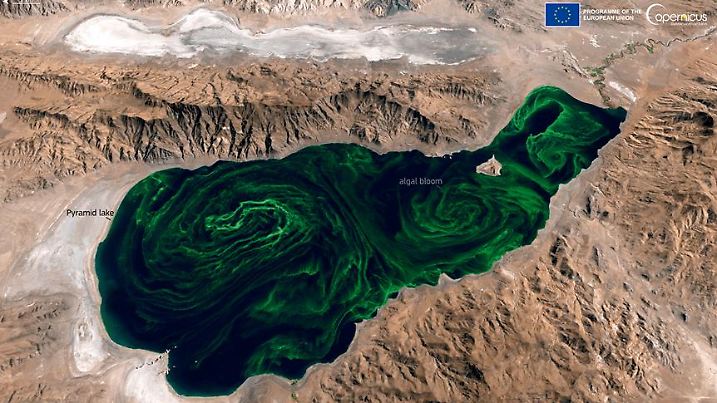 Lake Pyramid von oben erscheint in grün durch die erhöhte Algenpopulation