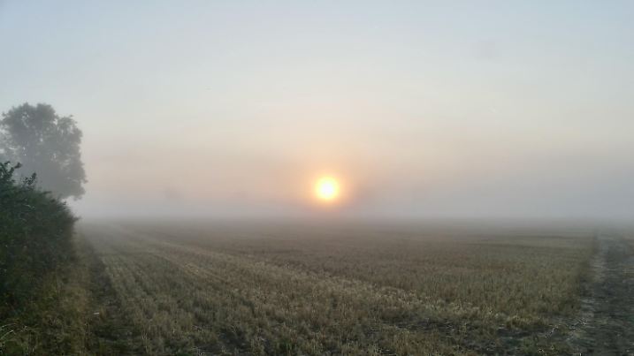 The mist hangs low on a much cooler start to the day in the countryside., Credit:Geoffrey Swaine / Avalon