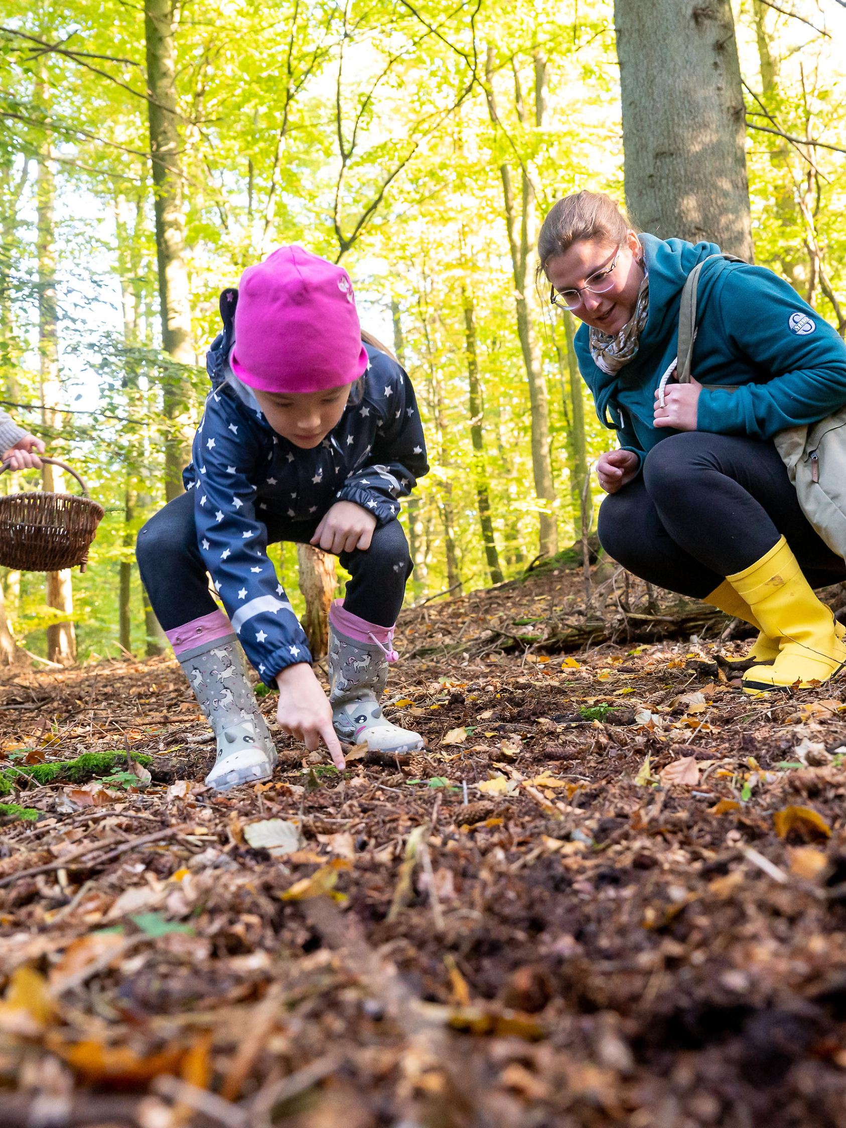 ILLUSTRATION - Eine Familie sammelt am 24.10.2021 in einem Wald bei Uelsby Fichtenzapfen und Kastanien (gestellte Szene). Foto: Benjamin Nolte