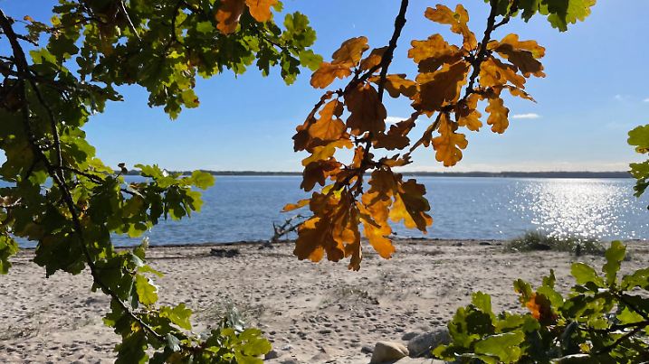 Strand von Eckernförde