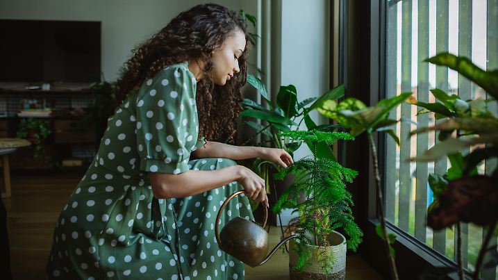 Portrait of a beautiful woman in her apartment enjoys everyday activities