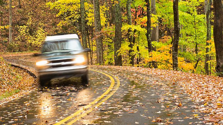 Dazzling fall foliage in the Smoky Mountains.