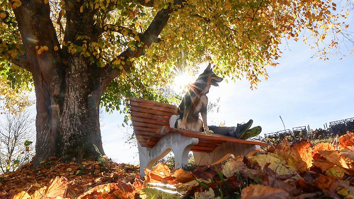 Eine Frau sitzt mit ihrem Hund unter einem herbstlich verfärbten Baum auf der Schwäbischen Alb in der Sonne.