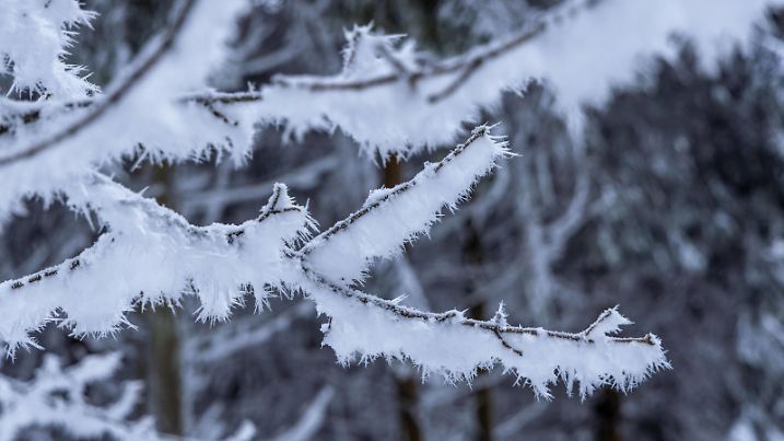 Schnee und Eis im Taunus Die Landschaft rund um den Großen Feldberg im Taunus ist winterlich bei Frost, Schnee und Raureif. Für den morgigen Tag warnt der DWD vor Unwetter durch Eisregen mit Glatteis und starken Schneefall in Teilen von Hessen und Deutschland., Schmitten Hessen Deutschland *** Snow and ice in the Taunus The landscape around the Großer Feldberg in the Taunus is wintry with frost, snow and hoarfrost For tomorrow, the DWD warns of severe weather due to freezing rain with black ice and heavy snowfall in parts of Hesse and Germany , Schmitten Hesse Germany