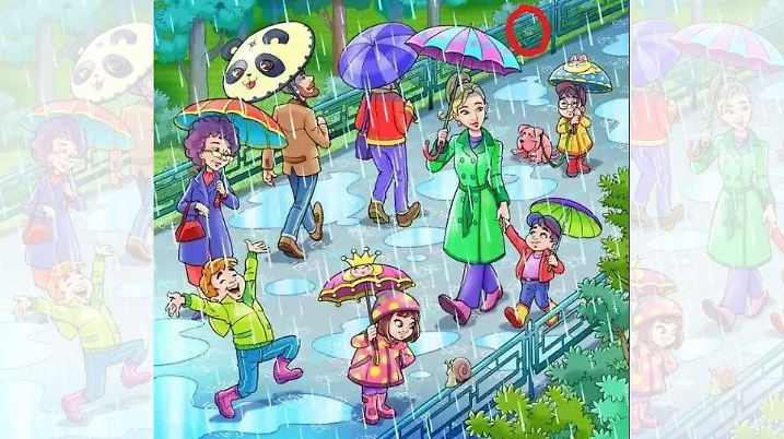 Auflösung: Hier versteckt sich der Frosch auf dem Suchbild