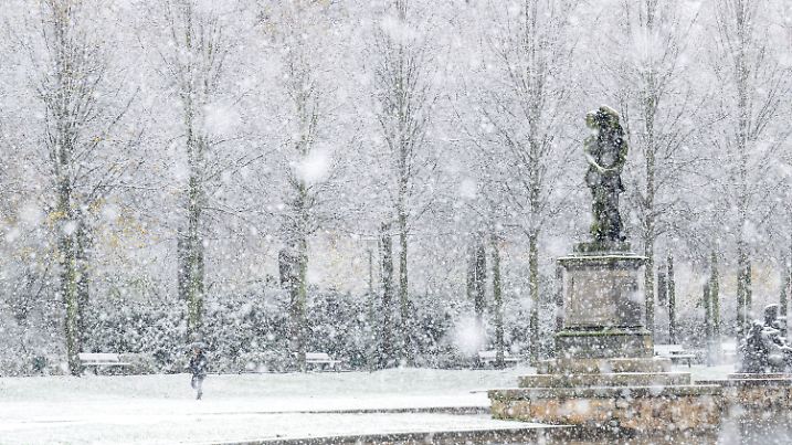 dpatopbilder - 19.11.2024, Bremen: Schneefall am Holler See im Bürgerpark. Sturmböen und Schnee erwartet der Deutsche Wetterdienst (DWD) an diesem Dienstag. Grund sei Tief «Quiteria», das im Tagesverlauf Deutschland überquere. Foto: Sina Schuldt/dpa +++ dpa-Bildfunk +++