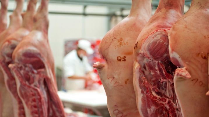 ARCHIV - 18.09.2010, Sachsen, --: Schweinehälften werden einer Großfleischerei verarbeitet. Zusammen mit der Gewerkschaft NGG stellen  Grünen-Politiker in Hannover die Initiativen der Landtagsfraktion für Wohnen, Leben und Arbeiten in der Fleischindustrie vor. Foto: Hendrik Schmidt/dpa-Zentralbild/dpa +++ dpa-Bildfunk +++