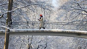 Nach einer Nacht mit Schneefall sind Bäume, Wege und Straßen im Kölner Grüngürtel eingeschneit. Bei Temperaturen um den Gefrierpunkt bleibt der Schnee liegen und lockt viele Spaziergänger in die Natur. Themenbild, Symbolbild Köln, 18.01.2024 NRW Deutschland *** After a night of snowfall, trees, paths and roads in Colognes green belt are covered in snow At temperatures around freezing point, the snow remains and attracts many walkers into nature Themed image, symbolic image Cologne, 18 01 2024 NRW Germany Copyright: xChristophxHardtx