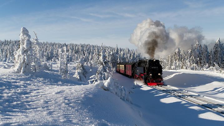Die Brockenbahn mit der Lok 99 7241-5 der Harzer-Schmalspurbahnen auf dem Weg zum Gipfel entlang des Gothewegs.