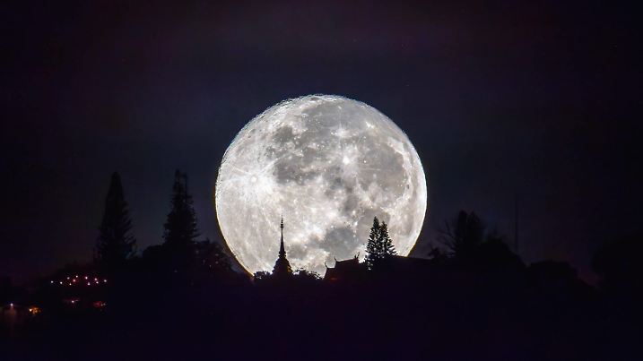 News Bilder des Tages The Beaver Moon at Wat Phra That Doi Suthep, Chiang Mai, Thailand - 15 Nov 2024 The full moon known as Beaver Moon sets behind the pagoda of Wat Phra That Doi Suthep. The Beaver Moon, the full moon in November, signals the onset of winter. Named by Indigenous North American tribes, it marks the time when beavers prepare for the cold by building their dams and lodges. This full moon shines brightly in late autumnís chilly skies, illuminating the landscape and symbolizing the last phase of preparation before winterís arrival. For many, the Beaver Moon is a reminder to gather, prepare, and find warmth as nature transitions into the quiet, reflective months ahead. Chiang Mai Thailand Copyright: xPongmanatxTasirix/xSOPAxImagesx PTASIRI151124D72000517