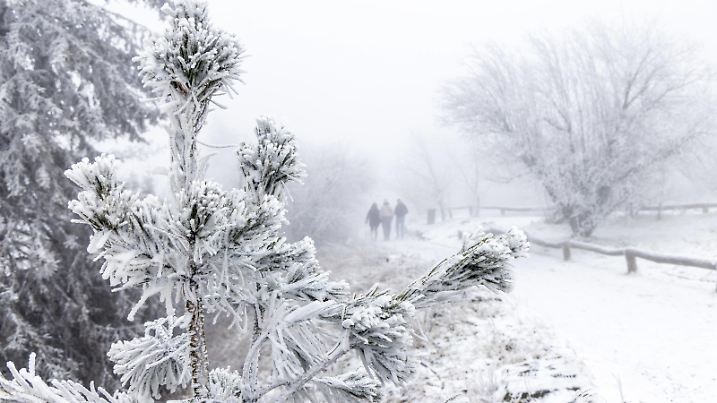 Winter in den Mittelgebirgen Dünn verschneit und mit Raureif überzogen ist die Landschaft rund um den Großen Feldberg im Taunus. In den hessischen Mittelgebirgen stehen die Chancen für weiße Weihnachten nach aktueller Wettervorhersage in diesem Jahr gut., Schmitten Hessen Deutschland *** Winter in the low mountain ranges The landscape around the Großer Feldberg in the Taunus is covered in thin snow and hoarfrost According to the current weather forecast, the chances of a white Christmas in the Hessian low mountain ranges are good this year , Schmitten Hessen Germany