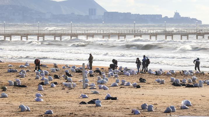 RUSSIA, KRASNODAR REGION - DECEMBER 18, 2024: Volunteers collect oil-soaked beach sand near the village of Vityazevo as an oil spill clean-up operation follows the December 15 crash of the Volgoneft 212 and 239 oil tankers in the Kerch Strait. More than 35km of the beachline affected in the region, a municipal-level state of emergency has been declared across three rural areas of Temryuksky District as well as Stanitsa Blagoveshchenskaya outside Anapa. Sergei Malgavko/TASS / action press