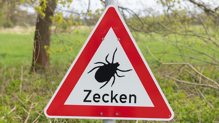  Dessau-Roßlau Sachsen Anhalt Germany Sign in the countryside warning visitors for the presence of ticks. Ticks are parasitic arachnids which act as vector carriers of Lyme disease and tick-borne encephalitis TBE both of which are on the rise in the country particularly in the south. Dessau-Roßlau Sachsen Anhalt Deutschland Warnzeichen für das Vorhandensein von Zecken. Zecken sind parasitäre Spinnentiere, die als Überträger der Lyme-Borreliose und der durch Zecken übertragenen Enzephalitis FSME fungieren, die beide im Land, insbesondere im Süden, auf dem Vormarsch sind. 